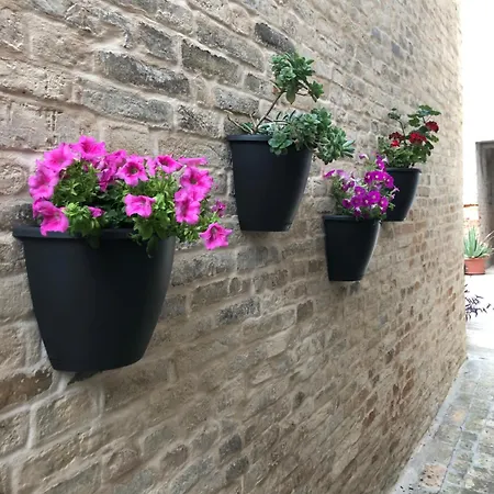 Appartement Nel Borgo 3a Monte San Pietrangeli